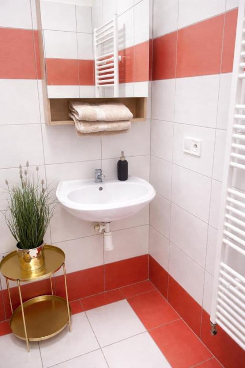 Pronájem bytu 30 m², Zámečnická, Olomouc, Olomoucký kraj Pronájem bytu 30 m², Zámečnická, Olomouc, Olomoucký kraj