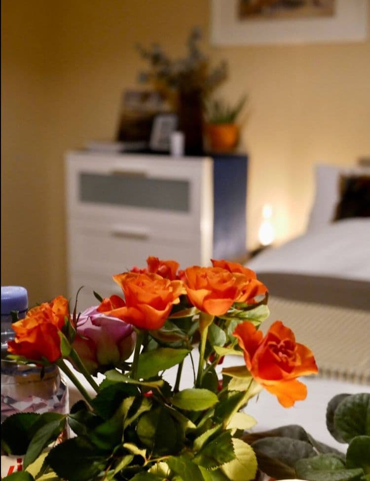 Pronájem bytu 1+kk 33 m², Konviktská, Praha, Praha Pronájem bytu 1+kk 33 m², Konviktská, Praha, Praha