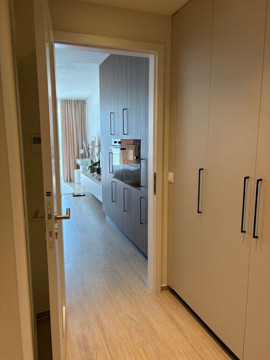 Pronájem bytu 1+kk 53 m², Sokolova, Brno, Jihomoravský kraj Pronájem bytu 1+kk 53 m², Sokolova, Brno, Jihomoravský kraj