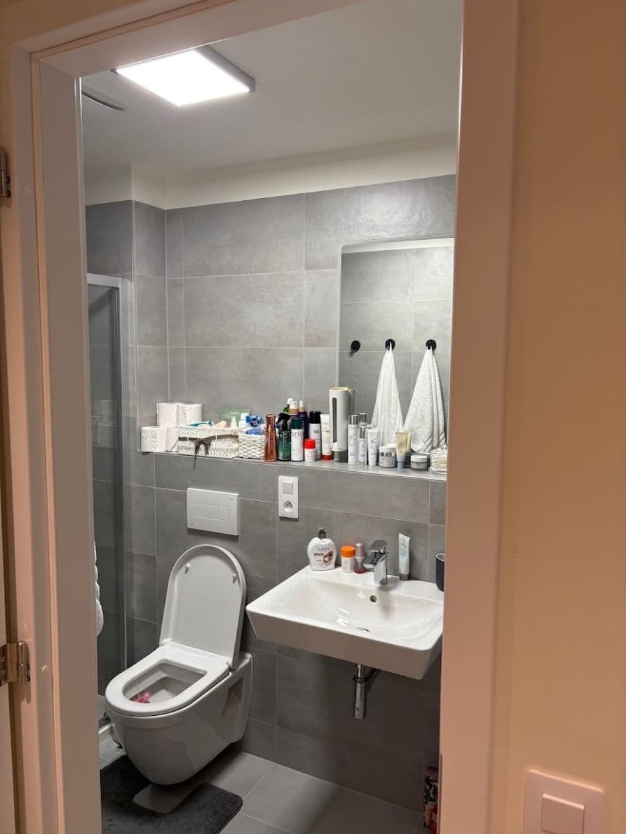 Pronájem bytu 1+kk 53 m², Sokolova, Brno, Jihomoravský kraj Pronájem bytu 1+kk 53 m², Sokolova, Brno, Jihomoravský kraj