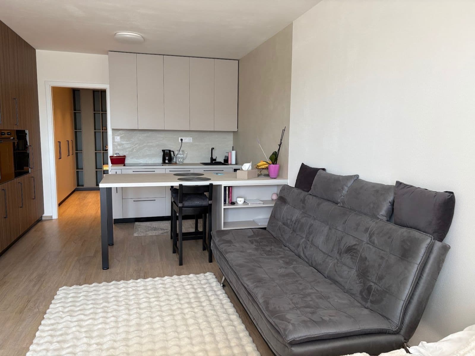 Pronájem bytu 1+kk 53 m², Sokolova, Brno, Jihomoravský kraj Pronájem bytu 1+kk 53 m², Sokolova, Brno, Jihomoravský kraj