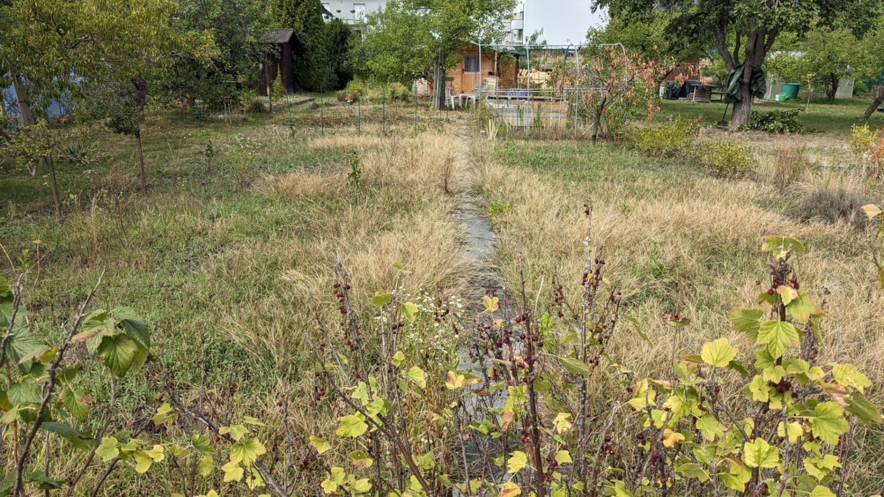 Prodej chaty, chalupy 16 m², pozemek 437 m², Hradec Králové, Královéhradecký kraj Prodej chaty, chalupy 16 m², pozemek 437 m², Hradec Králové, Královéhradecký kraj
