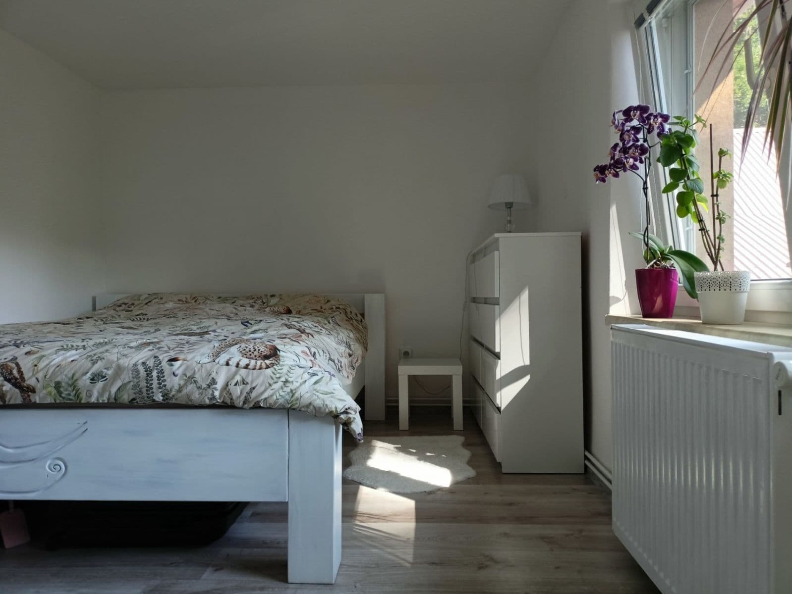 Prodej domu 105 m², pozemek 1.500 m², Řeka, Moravskoslezský kraj Prodej domu 105 m², pozemek 1.500 m², Řeka, Moravskoslezský kraj