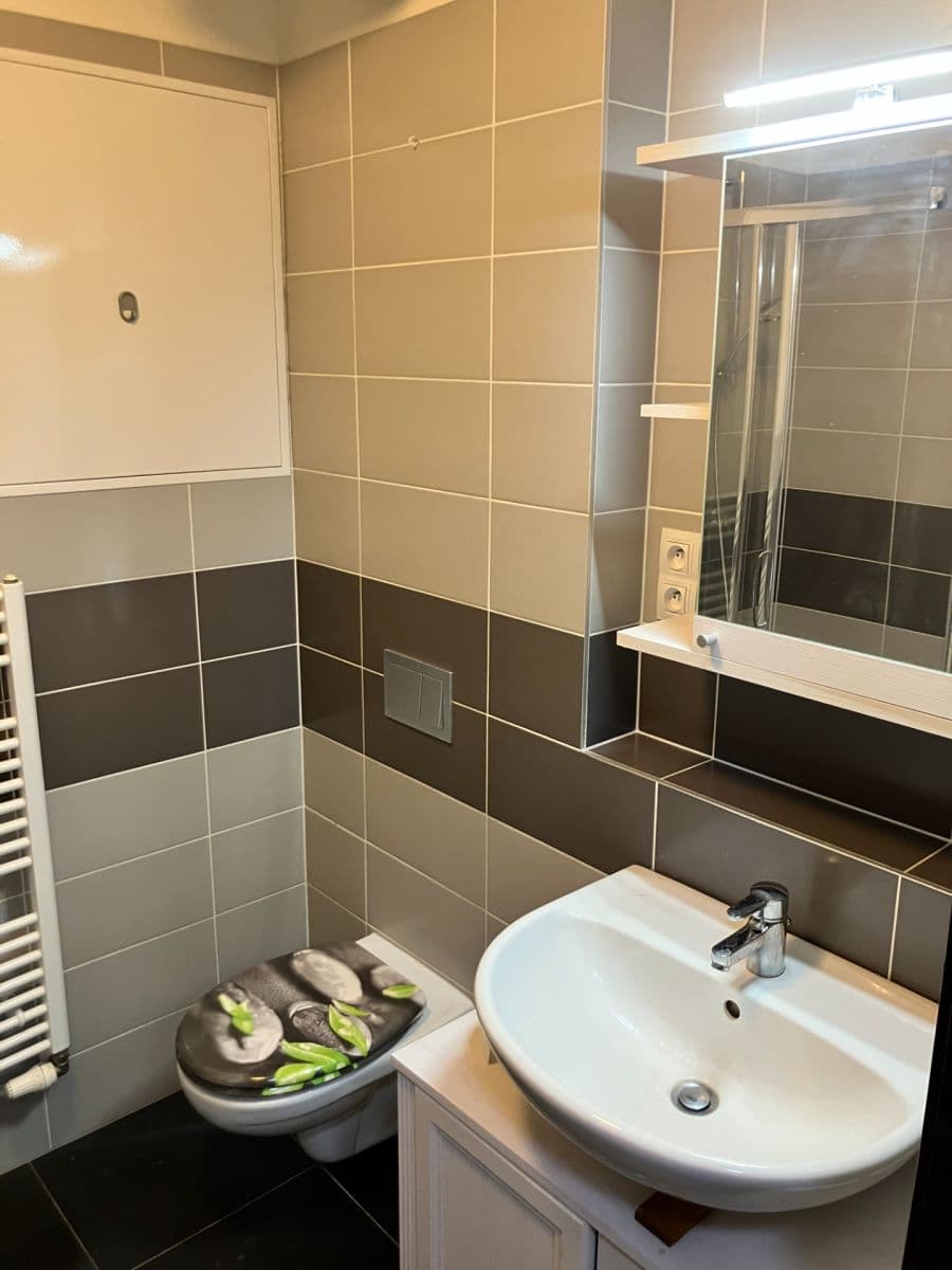 Pronájem bytu 1+kk 39 m², Rižská, Praha, Praha Pronájem bytu 1+kk 39 m², Rižská, Praha, Praha