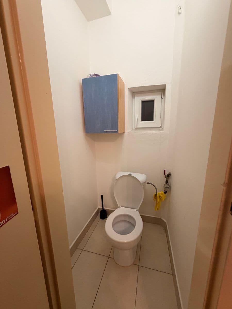 Pronájem bytu 3+1 84 m², Kounicova, Brno, Jihomoravský kraj Pronájem bytu 3+1 84 m², Kounicova, Brno, Jihomoravský kraj