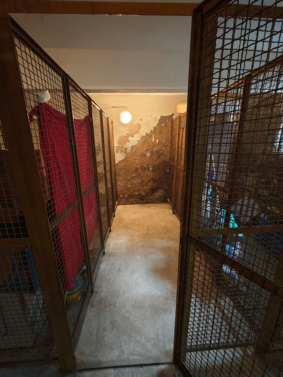 Prodej bytu 1+1 34 m², Vrchlického náměstí, Rakovník, Středočeský kraj Prodej bytu 1+1 34 m², Vrchlického náměstí, Rakovník, Středočeský kraj
