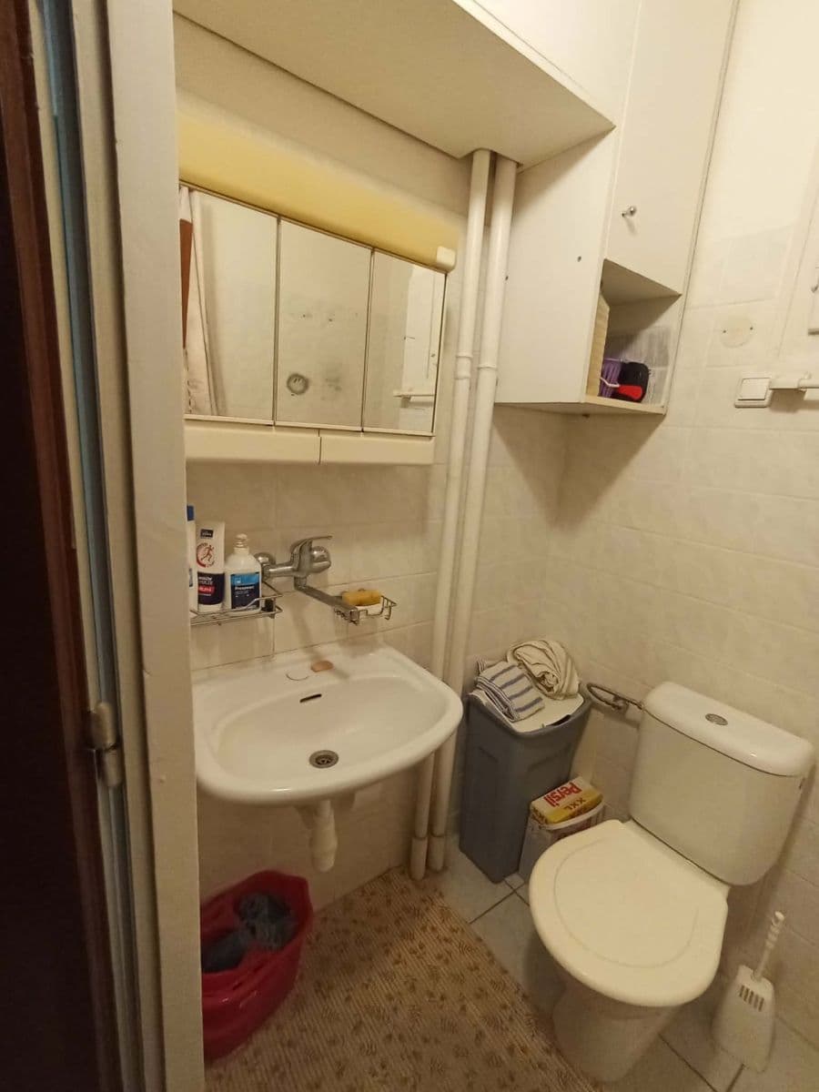 Pronájem bytu 1+kk 25 m², Botanická, Brno, Jihomoravský kraj Pronájem bytu 1+kk 25 m², Botanická, Brno, Jihomoravský kraj