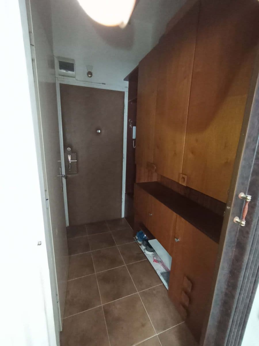 Pronájem bytu 1+kk 25 m², Botanická, Brno, Jihomoravský kraj Pronájem bytu 1+kk 25 m², Botanická, Brno, Jihomoravský kraj