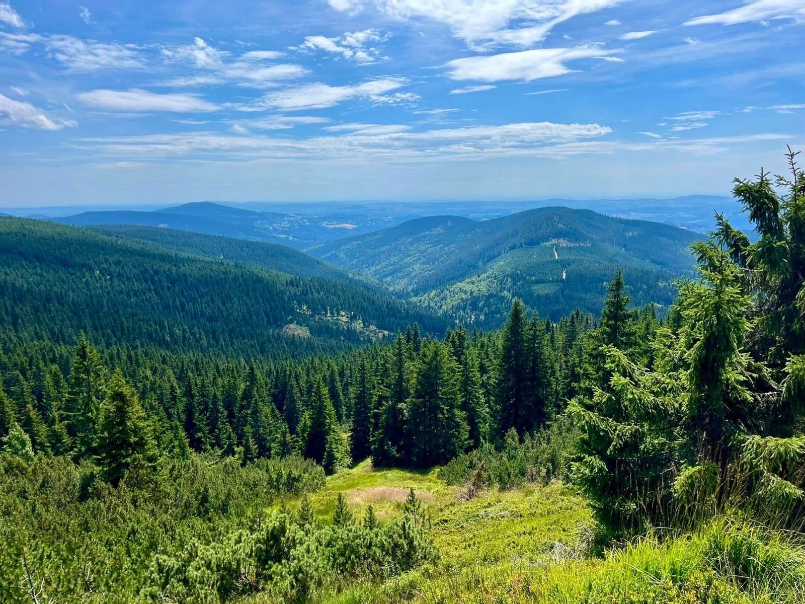Prodej bytu 3+kk 80 m², Harrachov, Liberecký kraj Prodej bytu 3+kk 80 m², Harrachov, Liberecký kraj