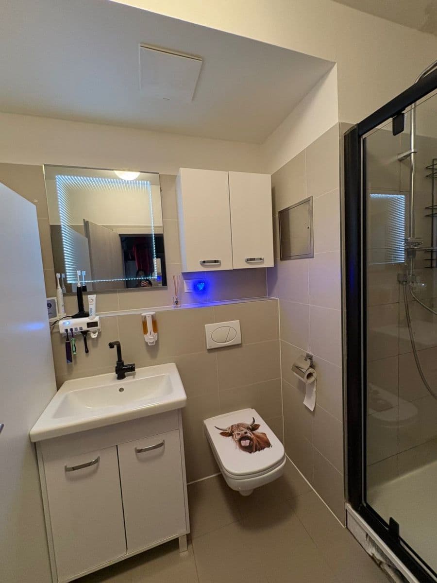 Prodej bytu 1+kk 43 m², Škrábkových, Praha, Praha Prodej bytu 1+kk 43 m², Škrábkových, Praha, Praha