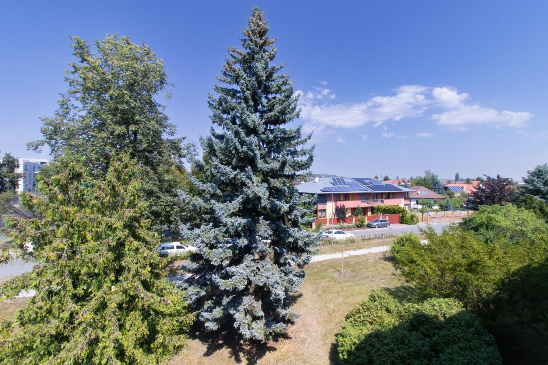 Pronájem bytu 3+1 73 m², Jedličkova, Lysá nad Labem, Středočeský kraj Pronájem bytu 3+1 73 m², Jedličkova, Lysá nad Labem, Středočeský kraj