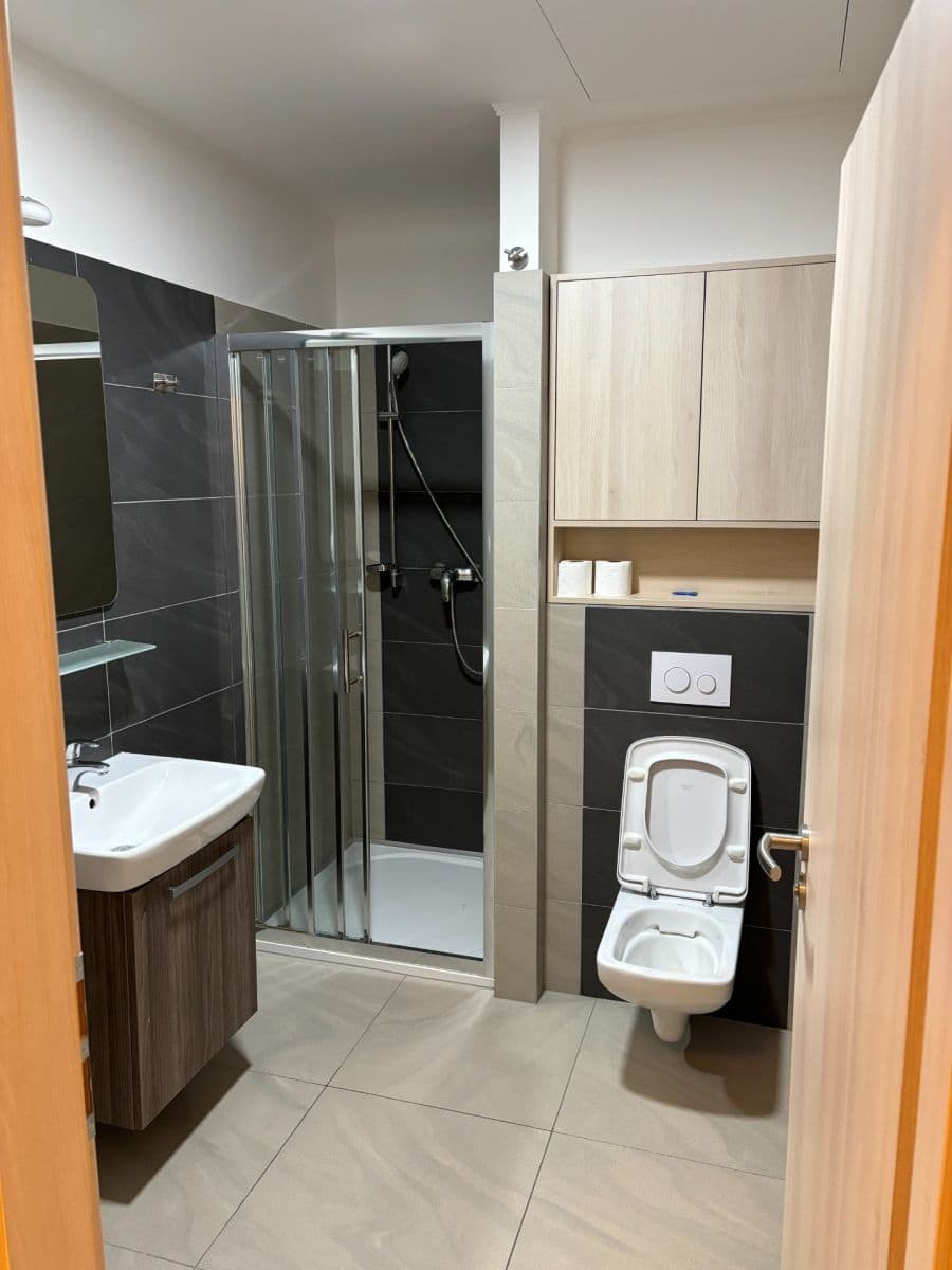 Pronájem bytu 2+kk 52 m², Přadlácká, Brno, Jihomoravský kraj Pronájem bytu 2+kk 52 m², Přadlácká, Brno, Jihomoravský kraj