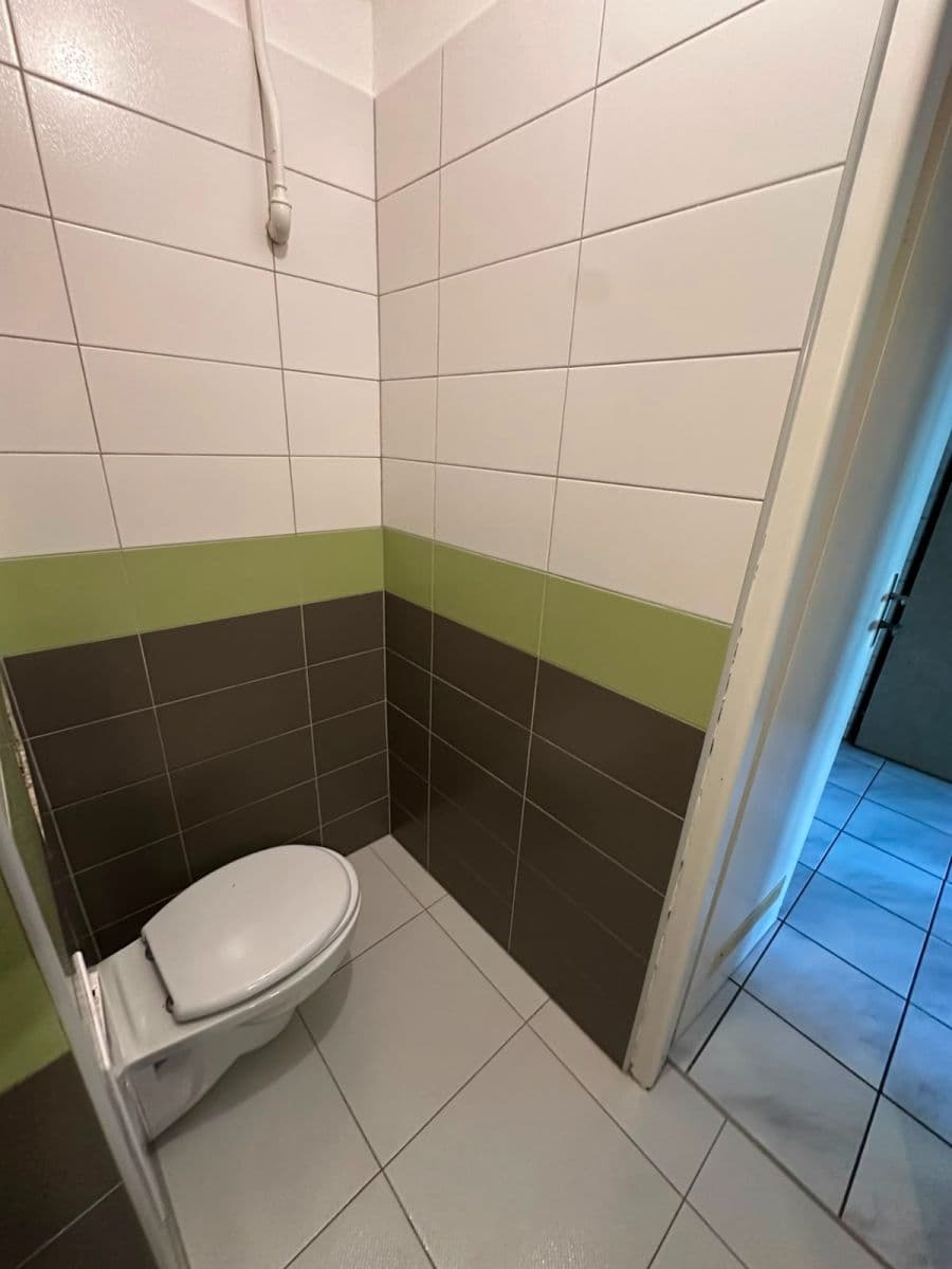 Pronájem bytu 2+1 48 m², Vrchlického, Praha, Praha Pronájem bytu 2+1 48 m², Vrchlického, Praha, Praha