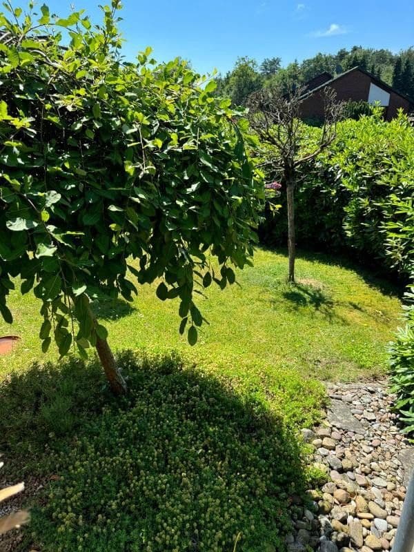 Prodej domu 150 m², pozemek 1.080 m², Drestedt, Dolní Sasko Prodej domu 150 m², pozemek 1.080 m², Drestedt, Dolní Sasko