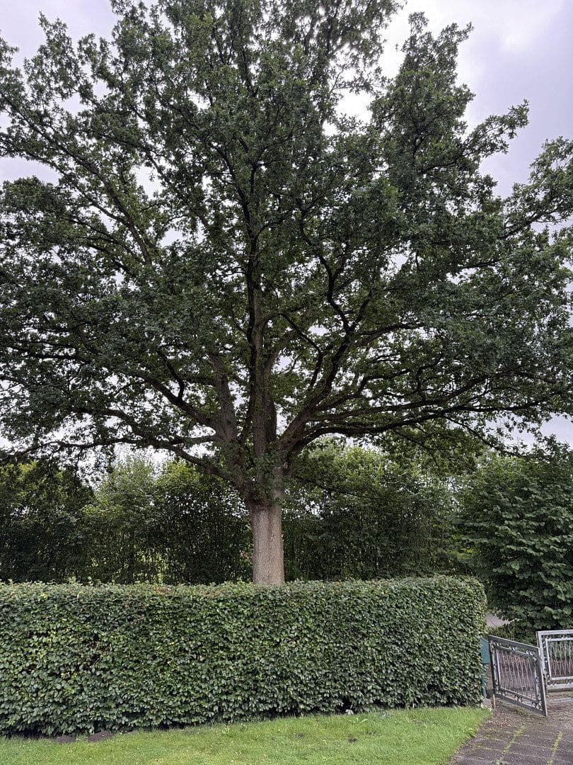 Prodej domu 92 m², pozemek 500 m², Bramkampredder 110, Ammersbek, Šlesvicko-Holštýnsko Prodej domu 92 m², pozemek 500 m², Bramkampredder 110, Ammersbek, Šlesvicko-Holštýnsko