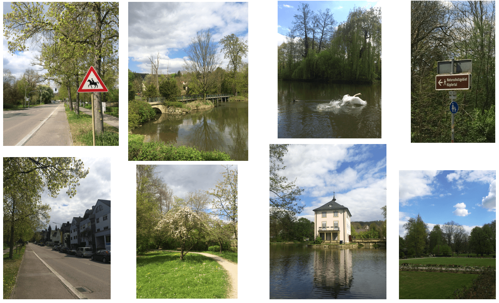 Prodej bytu 3+1 64 m², Jägerhausstraße 202, Heilbronn, Bádensko-Württembersko Prodej bytu 3+1 64 m², Jägerhausstraße 202, Heilbronn, Bádensko-Württembersko