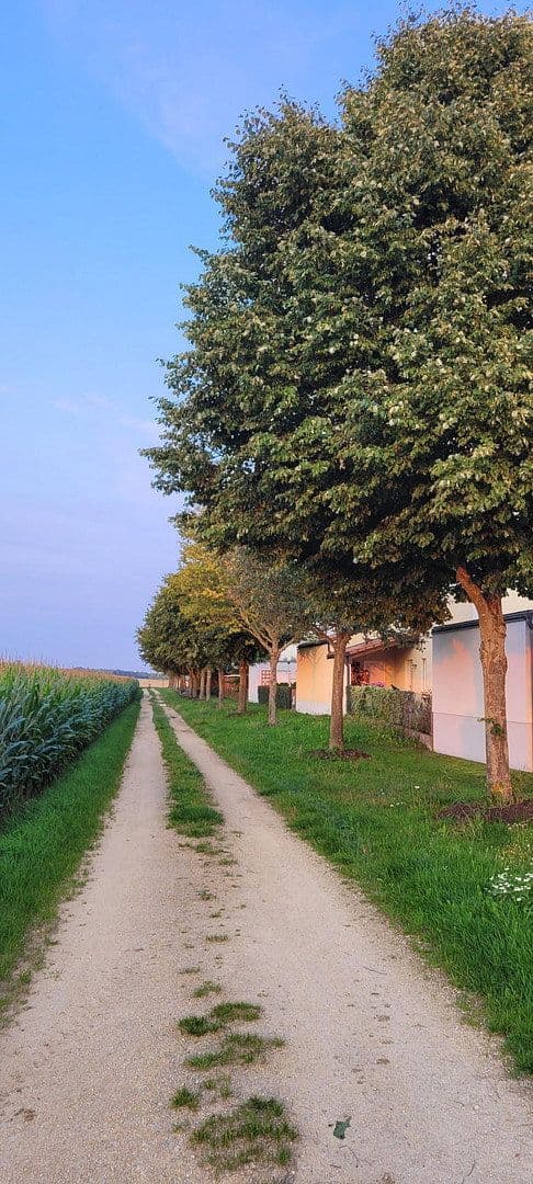 Prodej domu 140 m², pozemek 554 m², Thomas-Mann-Straße 40, Gaimersheim, Bavorsko Prodej domu 140 m², pozemek 554 m², Thomas-Mann-Straße 40, Gaimersheim, Bavorsko