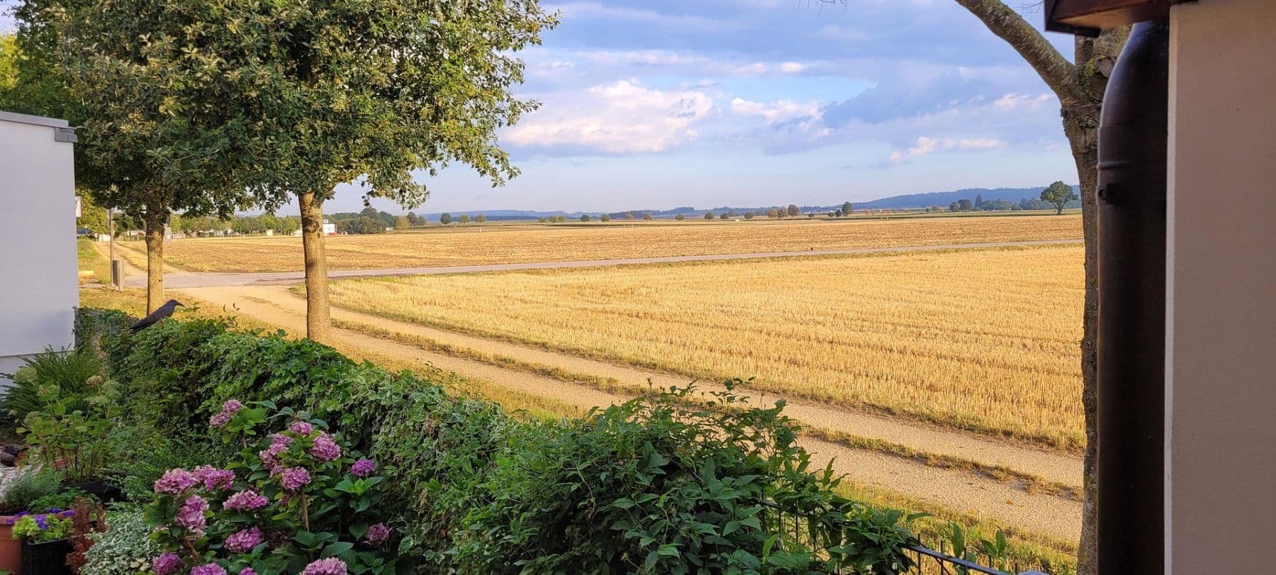 Prodej domu 140 m², pozemek 554 m², Thomas-Mann-Straße 40, Gaimersheim, Bavorsko Prodej domu 140 m², pozemek 554 m², Thomas-Mann-Straße 40, Gaimersheim, Bavorsko