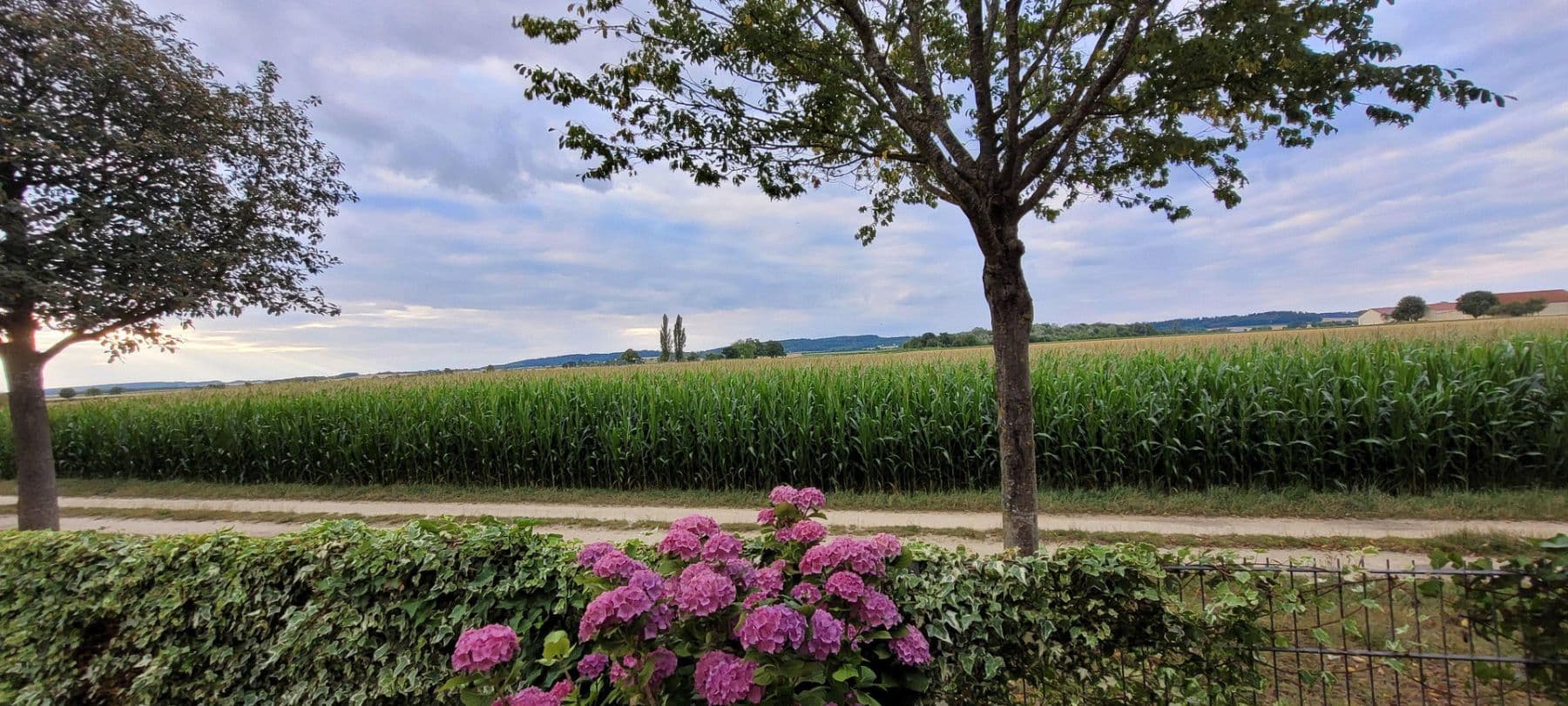 Prodej domu 140 m², pozemek 554 m², Thomas-Mann-Straße 40, Gaimersheim, Bavorsko Prodej domu 140 m², pozemek 554 m², Thomas-Mann-Straße 40, Gaimersheim, Bavorsko