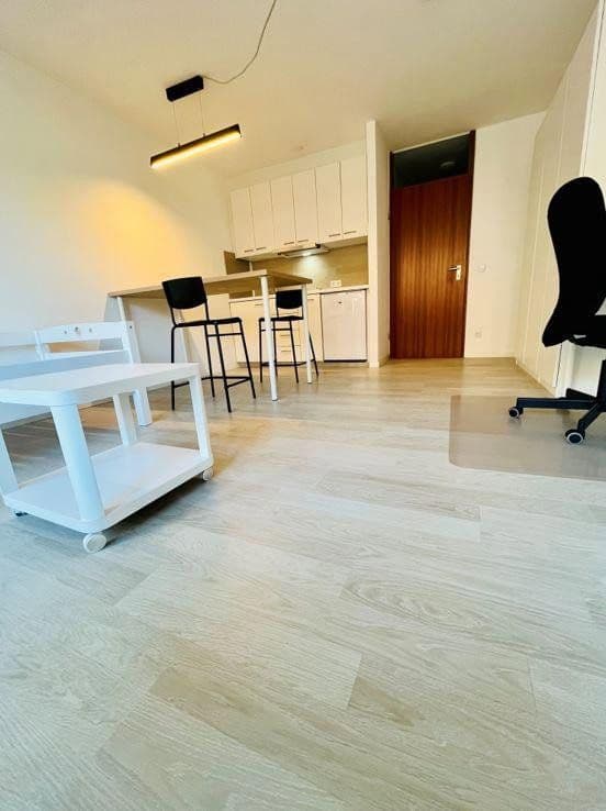 Pronájem bytu 1+1 30 m², Zähringerstraße 47, Karlsruhe, Bádensko-Württembersko Pronájem bytu 1+1 30 m², Zähringerstraße 47, Karlsruhe, Bádensko-Württembersko