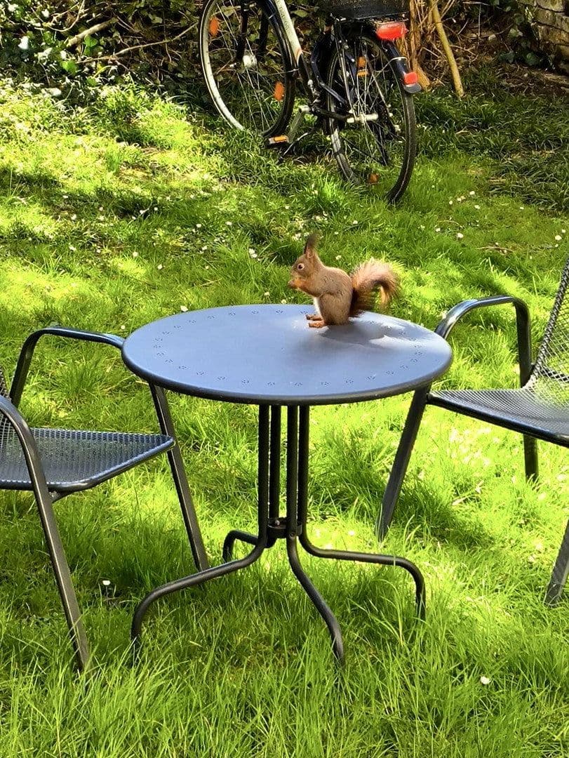 Pronájem bytu 2+1 47 m², Frankenallee 201, Frankfurt a. M., Hessen Pronájem bytu 2+1 47 m², Frankenallee 201, Frankfurt a. M., Hessen