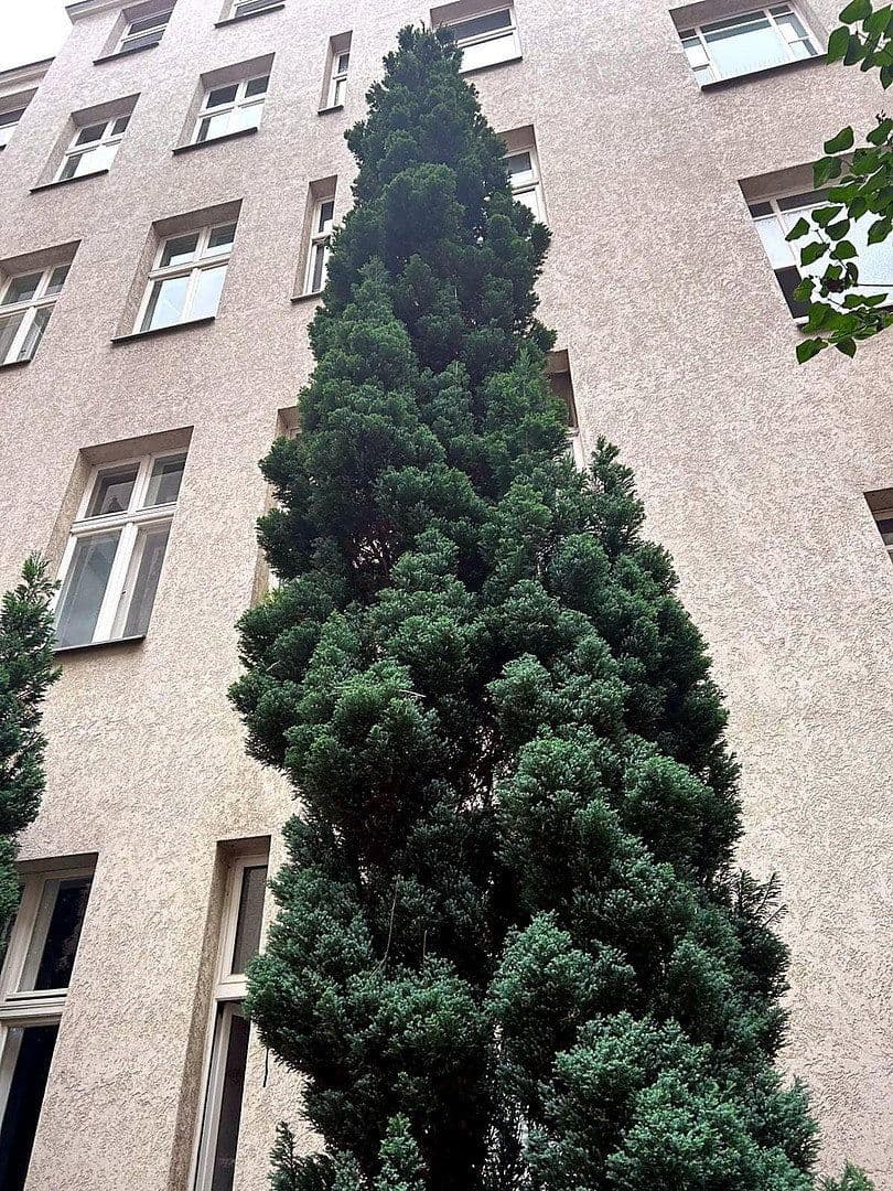 Pronájem bytu 1+1 42 m², Berlin, Berlín Pronájem bytu 1+1 42 m², Berlin, Berlín