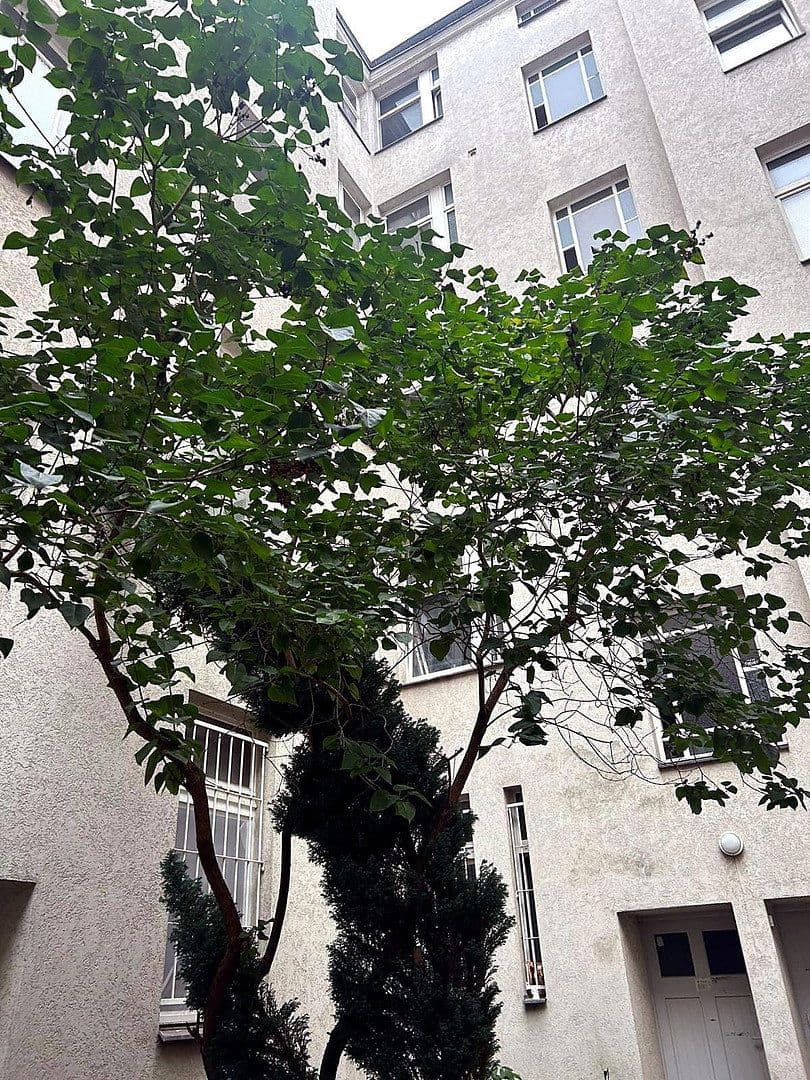 Pronájem bytu 1+1 42 m², Berlin, Berlín Pronájem bytu 1+1 42 m², Berlin, Berlín