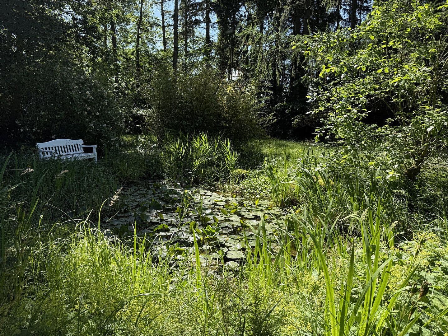 Prodej domu 199 m², pozemek 2.479 m², Lensahn, Šlesvicko-Holštýnsko Prodej domu 199 m², pozemek 2.479 m², Lensahn, Šlesvicko-Holštýnsko