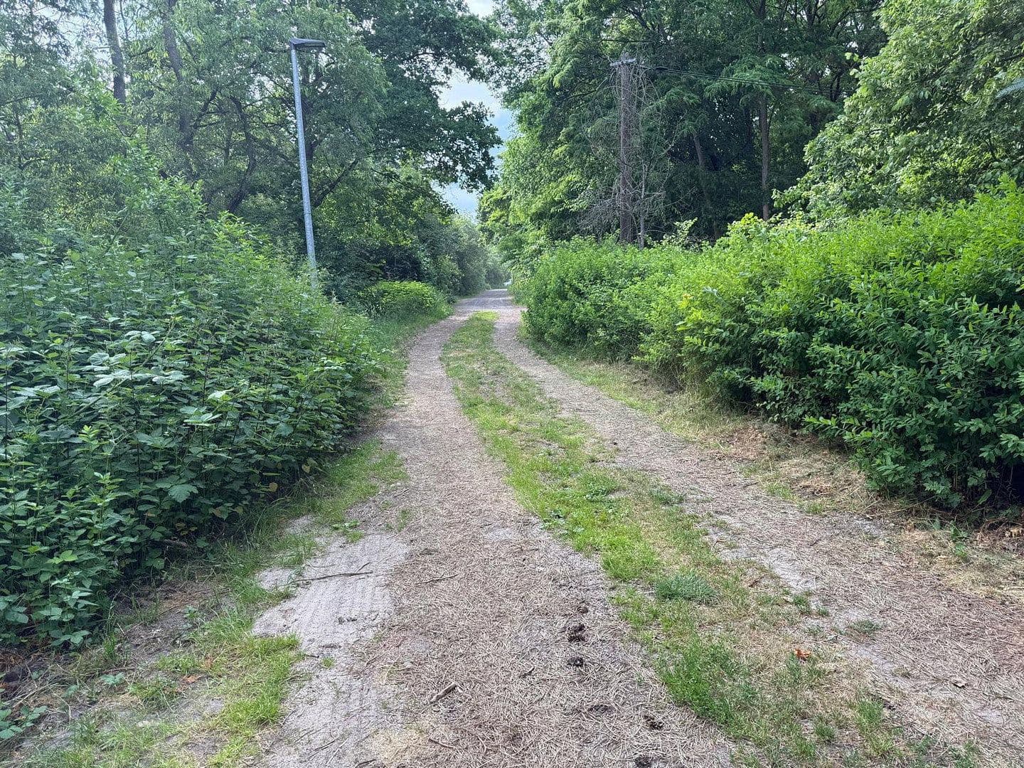 Prodej pozemku 7.000 m², Teltow, Braniborsko Prodej pozemku 7.000 m², Teltow, Braniborsko