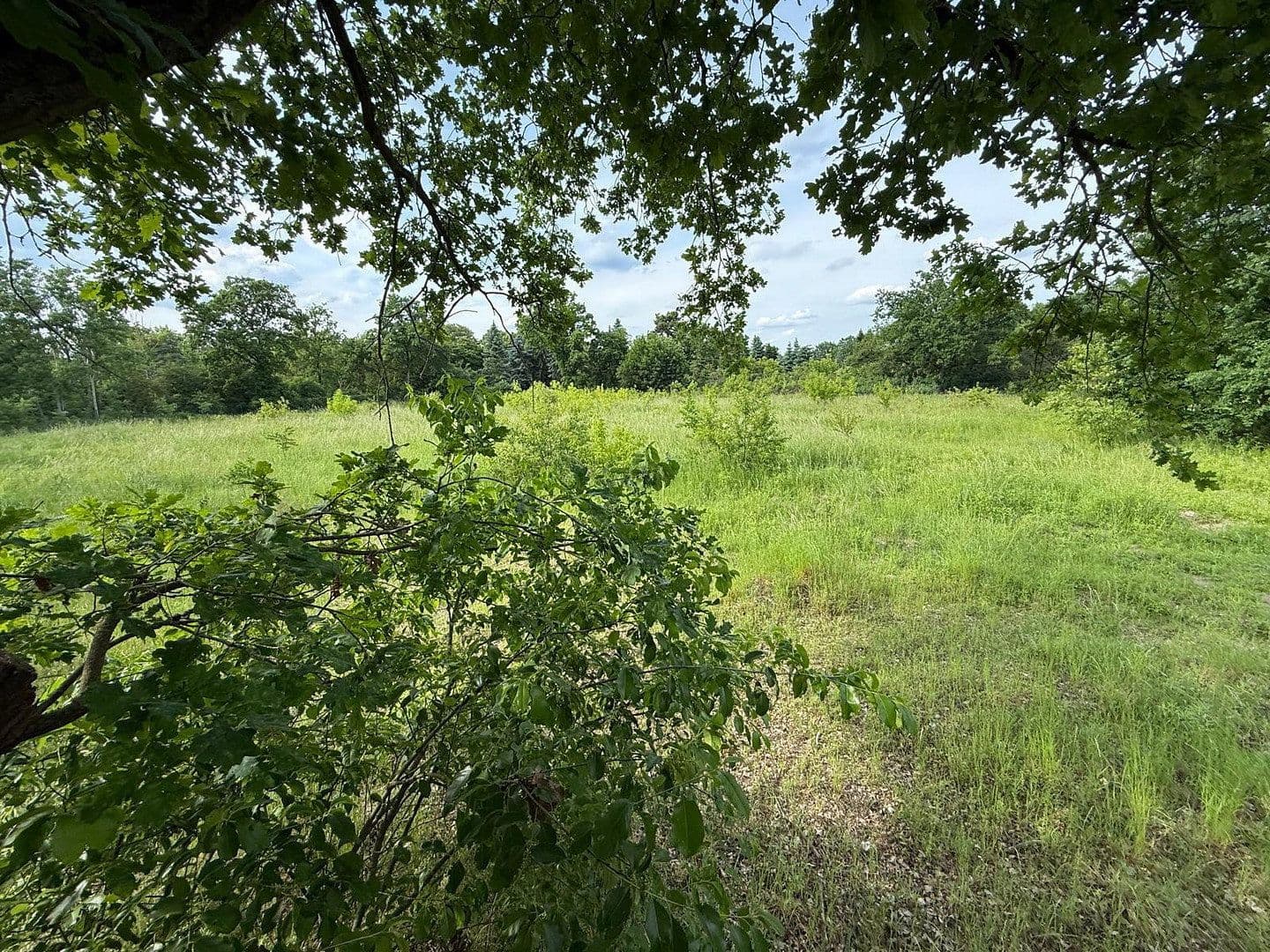 Prodej pozemku 7.000 m², Teltow, Braniborsko Prodej pozemku 7.000 m², Teltow, Braniborsko