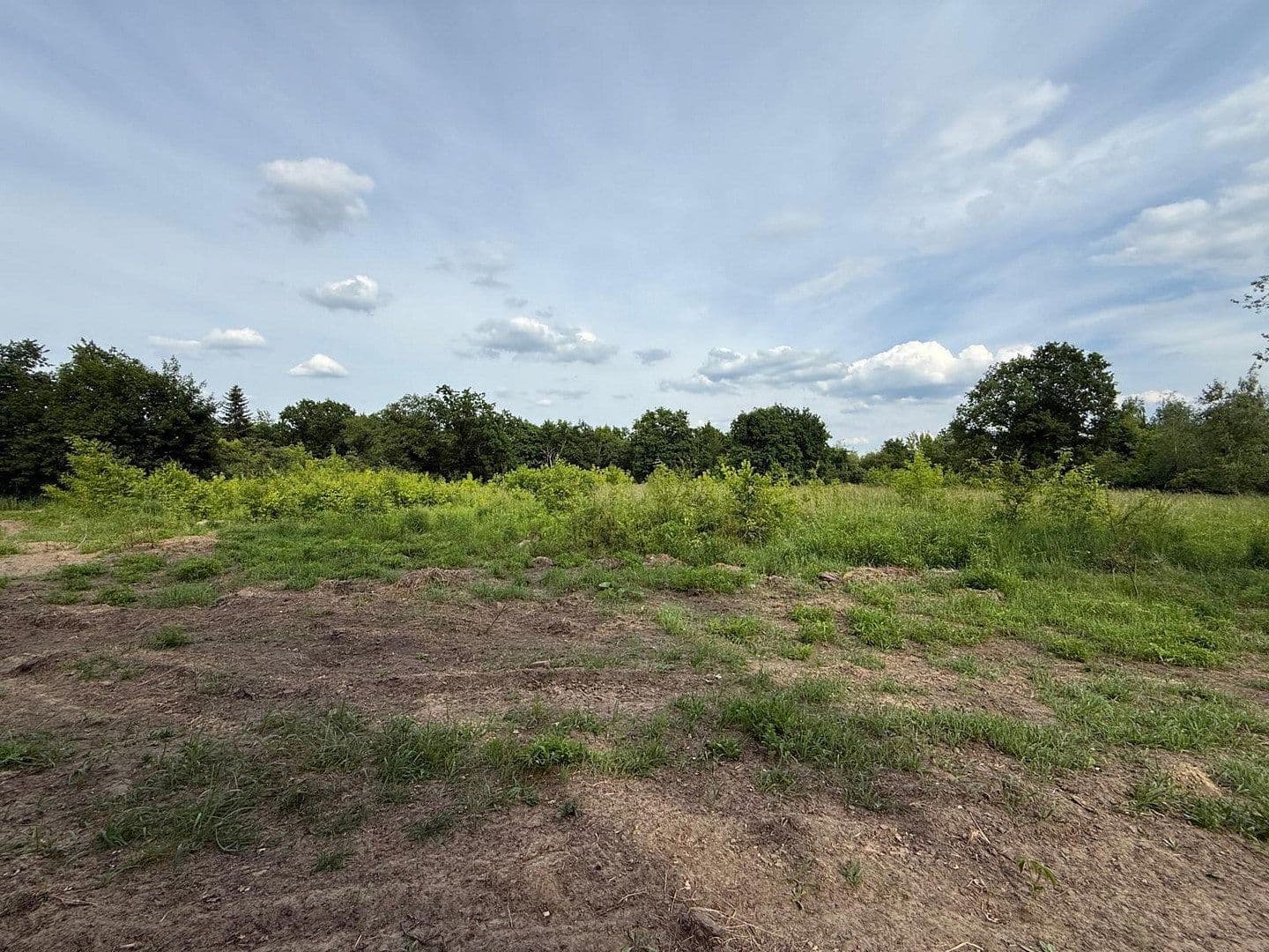 Prodej pozemku 7.000 m², Teltow, Braniborsko Prodej pozemku 7.000 m², Teltow, Braniborsko