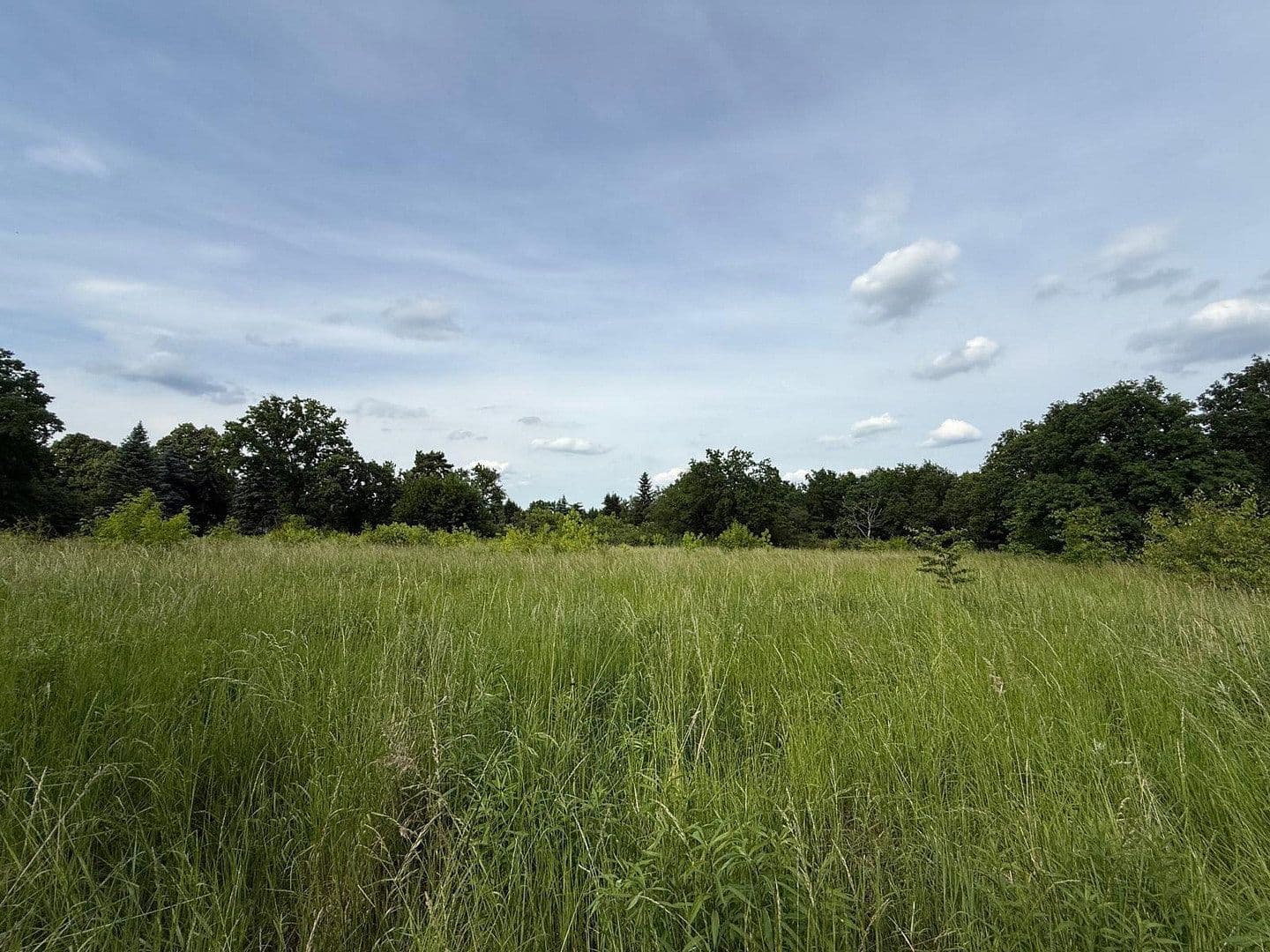 Prodej pozemku 7.000 m², Teltow, Braniborsko Prodej pozemku 7.000 m², Teltow, Braniborsko