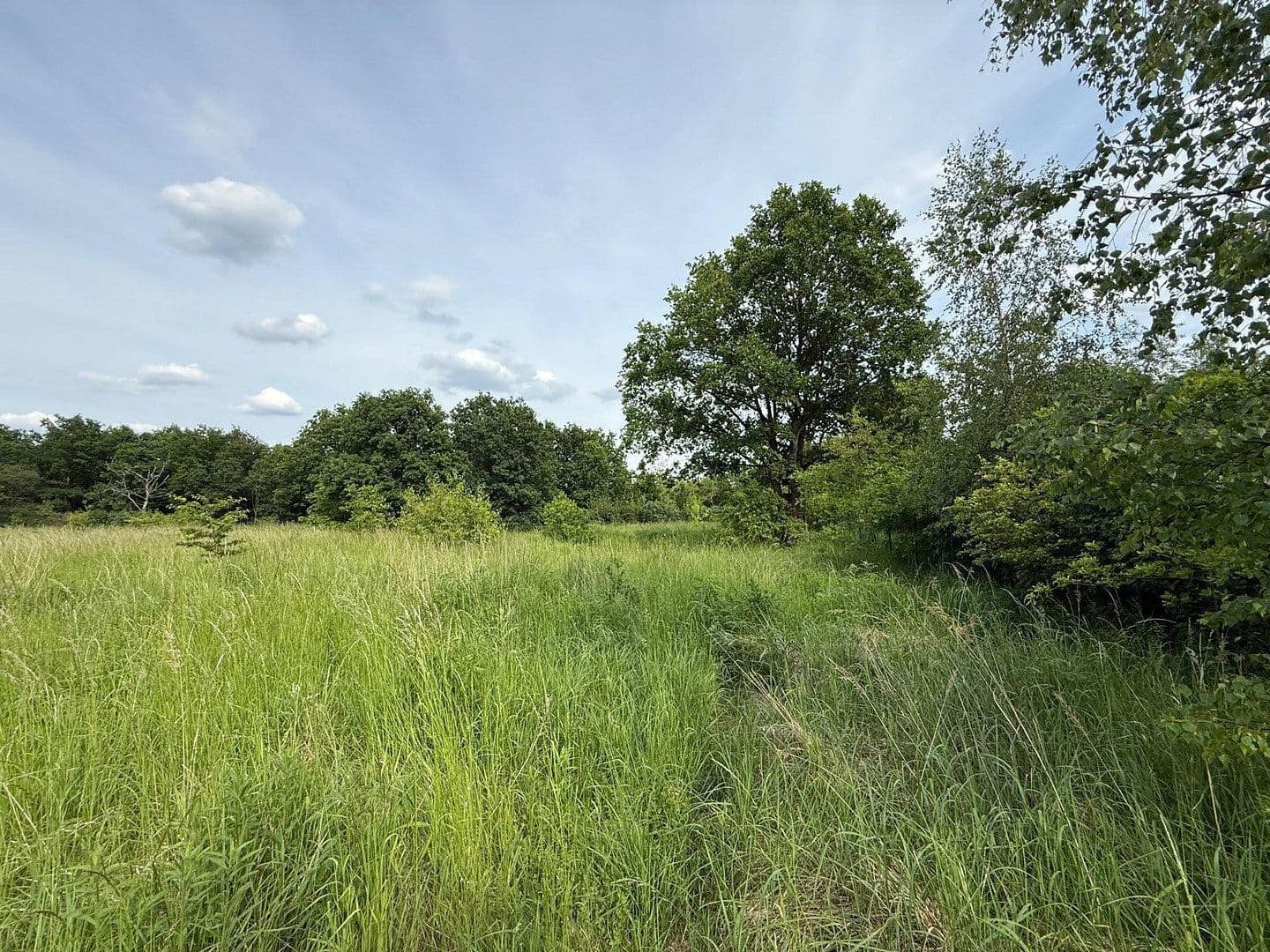 Prodej pozemku 7.000 m², Teltow, Braniborsko Prodej pozemku 7.000 m², Teltow, Braniborsko