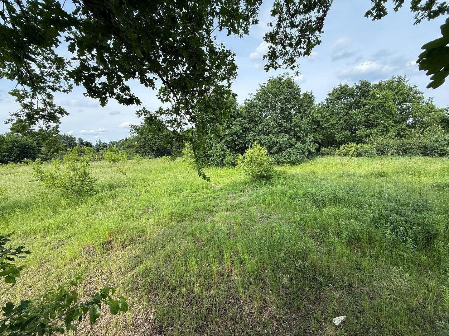 Prodej pozemku 7.000 m², Teltow, Braniborsko Prodej pozemku 7.000 m², Teltow, Braniborsko