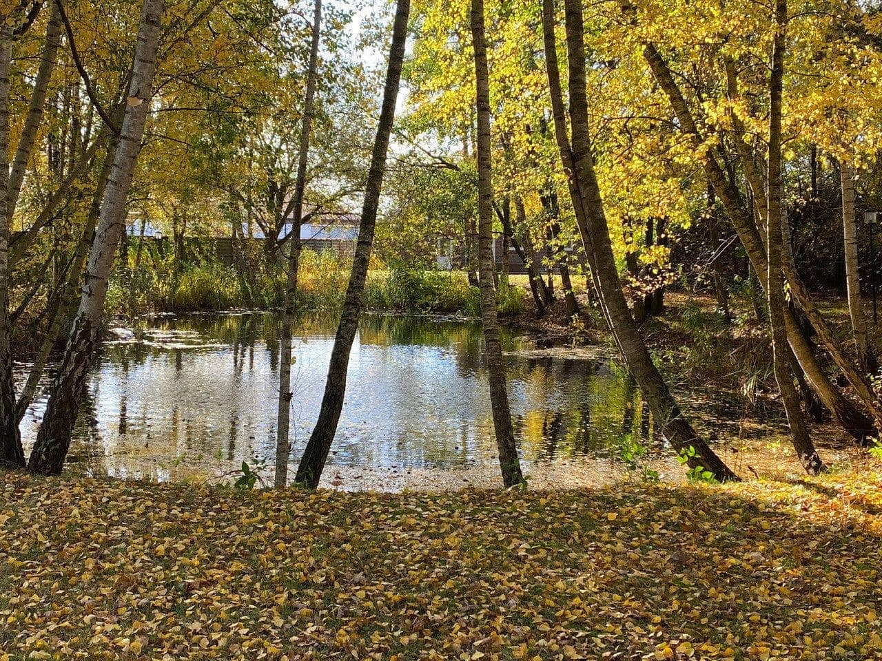 Pronájem pozemku 15.000 m², Sottrum, Dolní Sasko Pronájem pozemku 15.000 m², Sottrum, Dolní Sasko