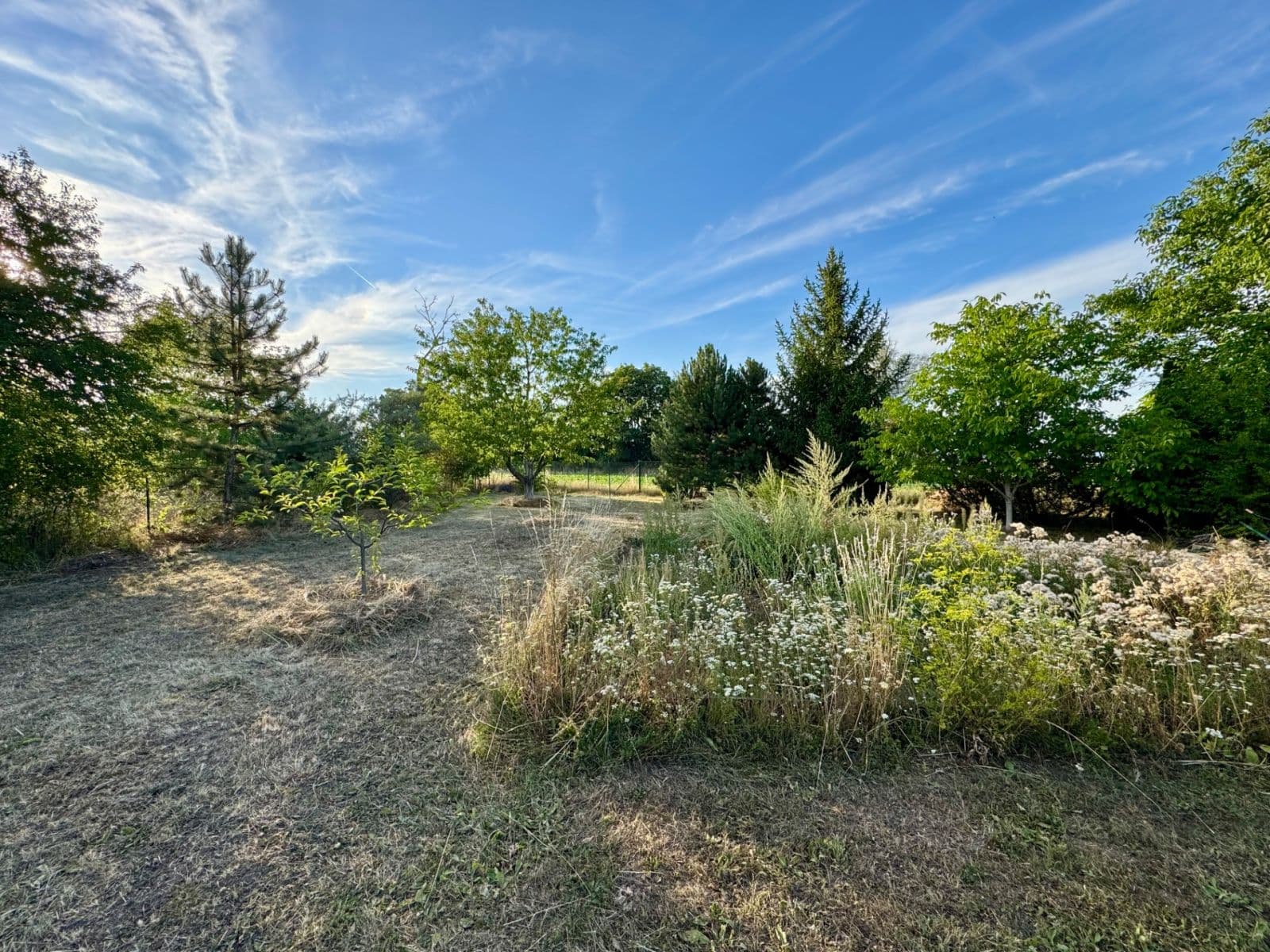 Prodej pozemku 1.466 m², Drahanovice, Olomoucký kraj Prodej pozemku 1.466 m², Drahanovice, Olomoucký kraj