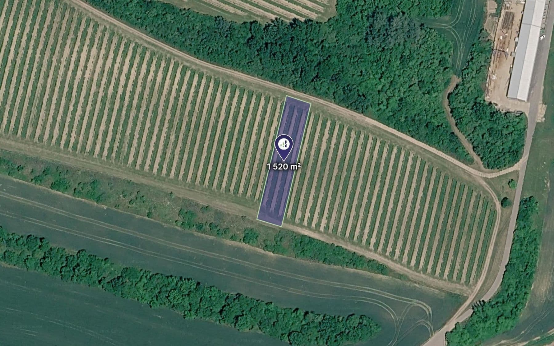 Prodej pozemku 1.520 m², Bulhary, Jihomoravský kraj Prodej pozemku 1.520 m², Bulhary, Jihomoravský kraj