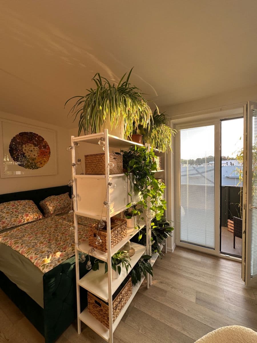 Pronájem bytu 1+kk 36 m², Na Křtaltě, Zábřeh, Olomoucký kraj Pronájem bytu 1+kk 36 m², Na Křtaltě, Zábřeh, Olomoucký kraj