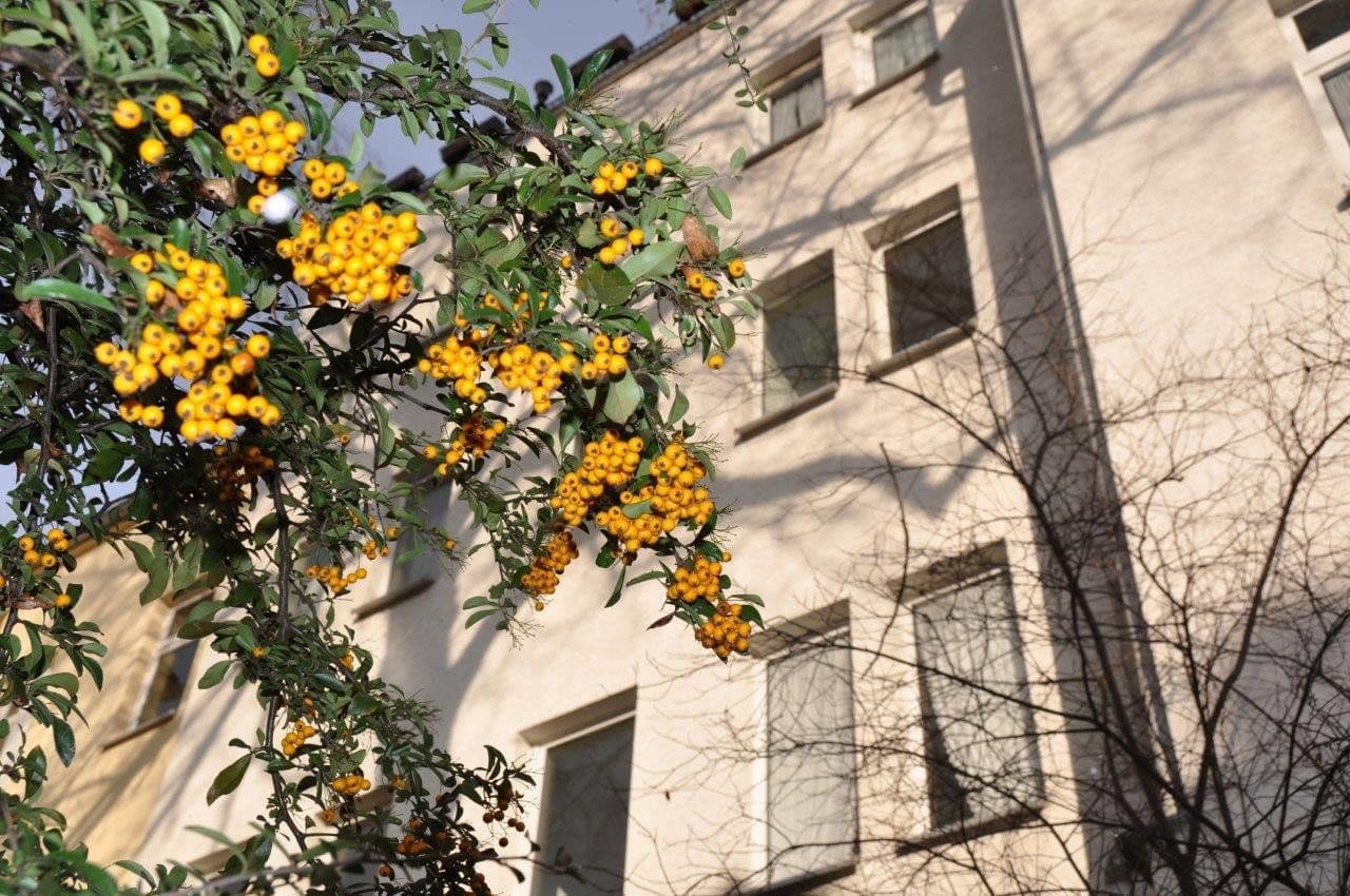 Pronájem bytu 6+1 160 m², Ernst-Bauchstr. 4, Aue-Bad Schlema, Sasko Pronájem bytu 6+1 160 m², Ernst-Bauchstr. 4, Aue-Bad Schlema, Sasko