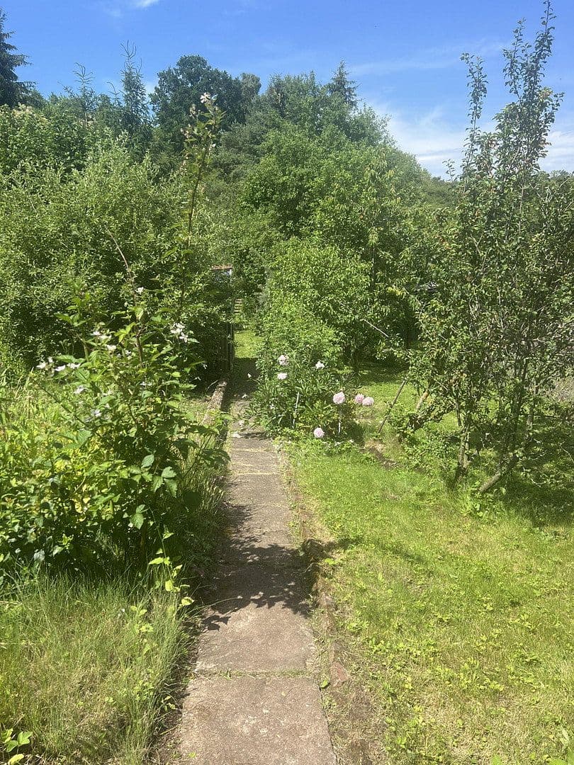 Prodej domu 115 m², pozemek 1.042 m², Harztor, Durynsko Prodej domu 115 m², pozemek 1.042 m², Harztor, Durynsko