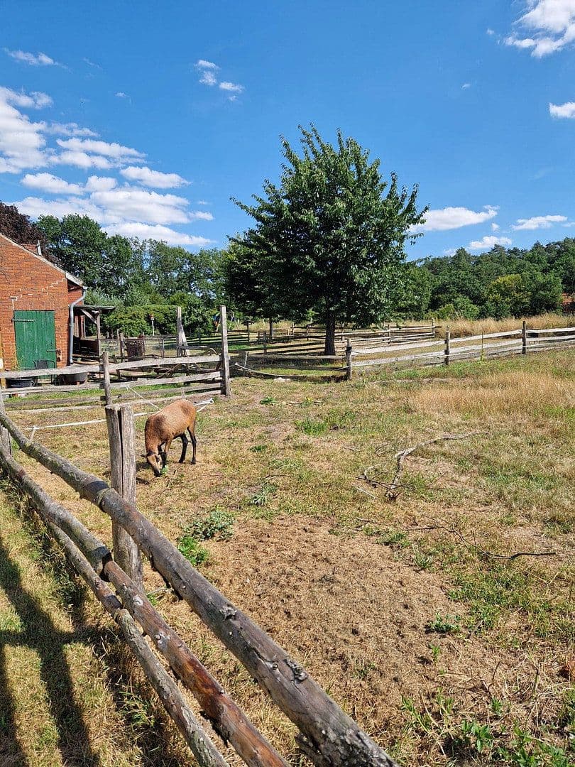 Prodej domu 290 m², pozemek 4.718 m², Gehlbergen 2, Bruchhausen-Vilsen, Dolní Sasko Prodej domu 290 m², pozemek 4.718 m², Gehlbergen 2, Bruchhausen-Vilsen, Dolní Sasko