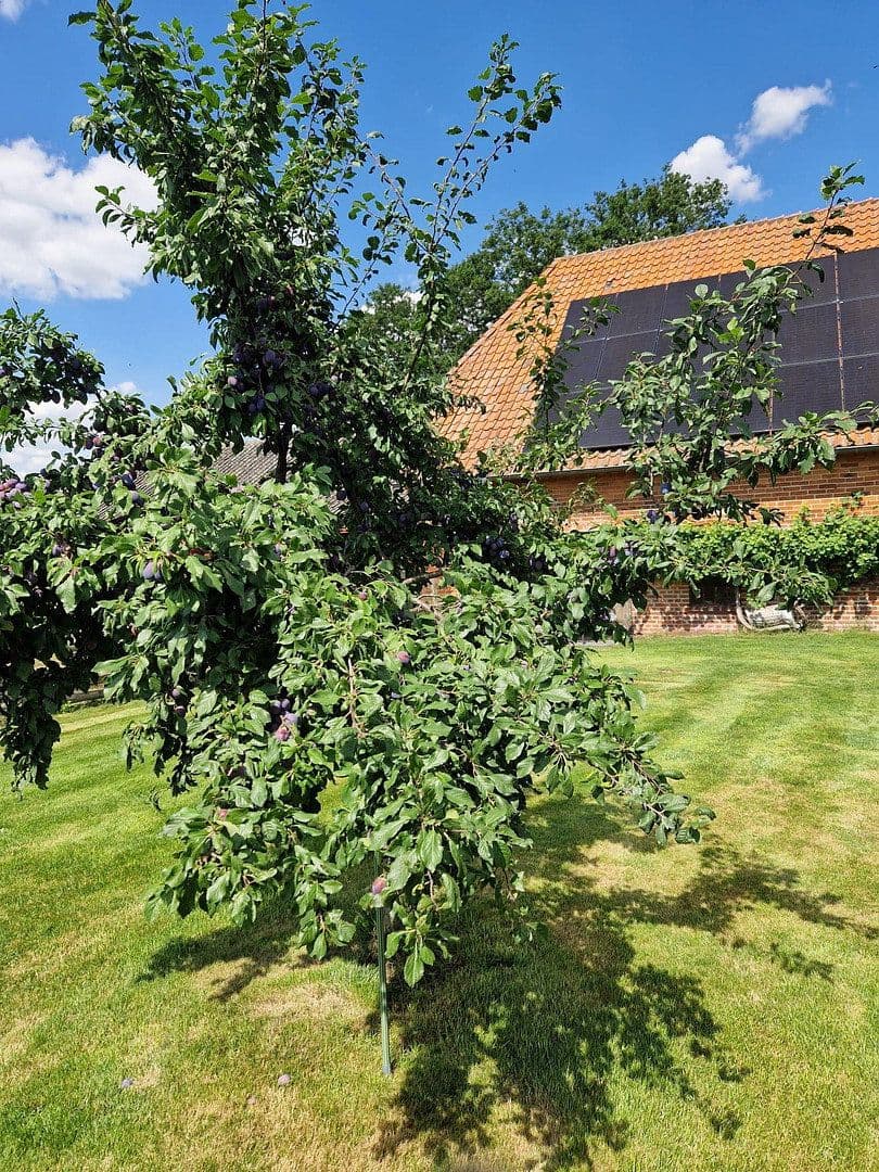 Prodej domu 290 m², pozemek 4.718 m², Gehlbergen 2, Bruchhausen-Vilsen, Dolní Sasko Prodej domu 290 m², pozemek 4.718 m², Gehlbergen 2, Bruchhausen-Vilsen, Dolní Sasko