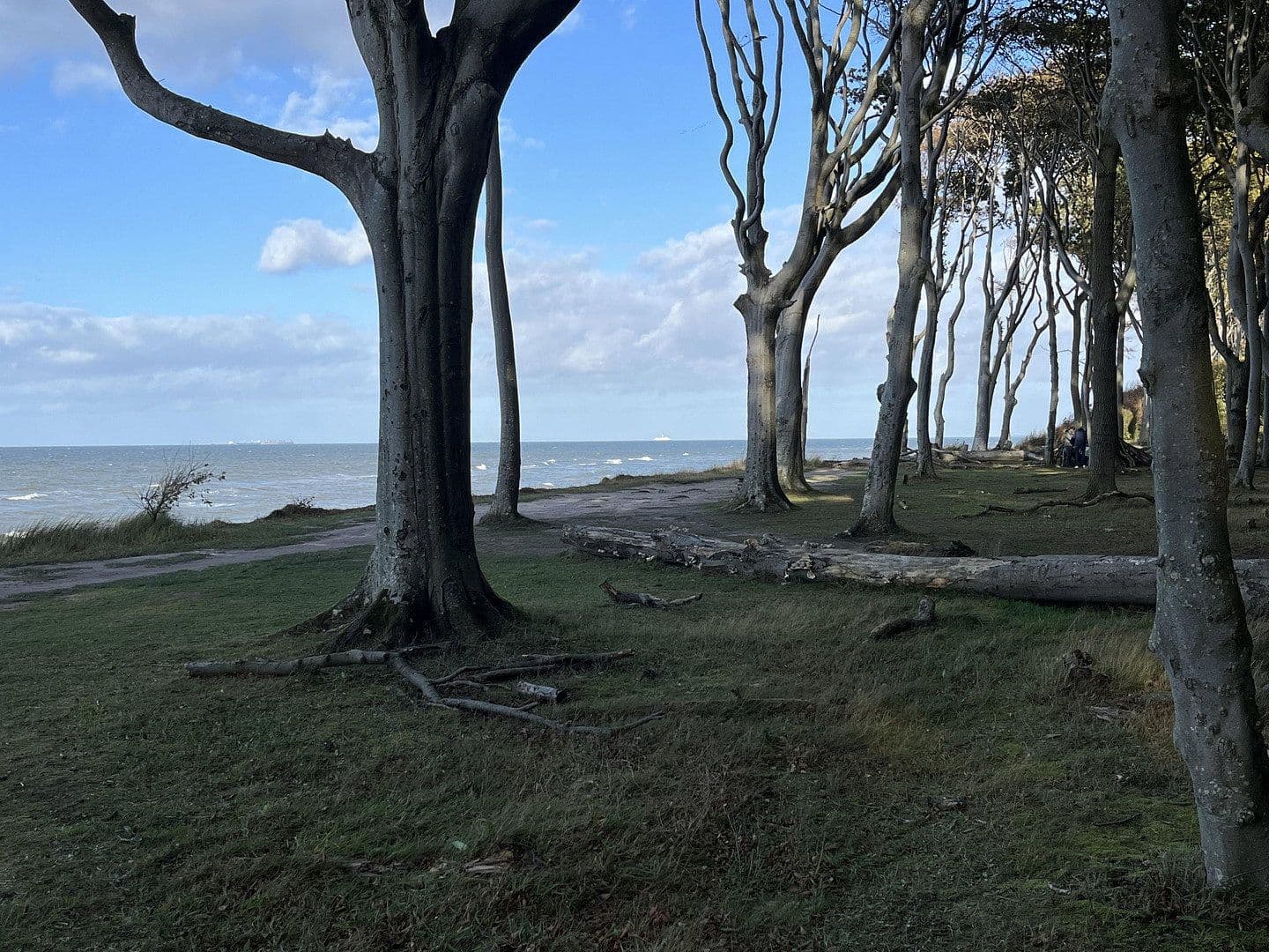 Prodej bytu 2+1 60 m², Strandstr 24, Nienhagen, Mecklenburg-Vorpommern Prodej bytu 2+1 60 m², Strandstr 24, Nienhagen, Mecklenburg-Vorpommern