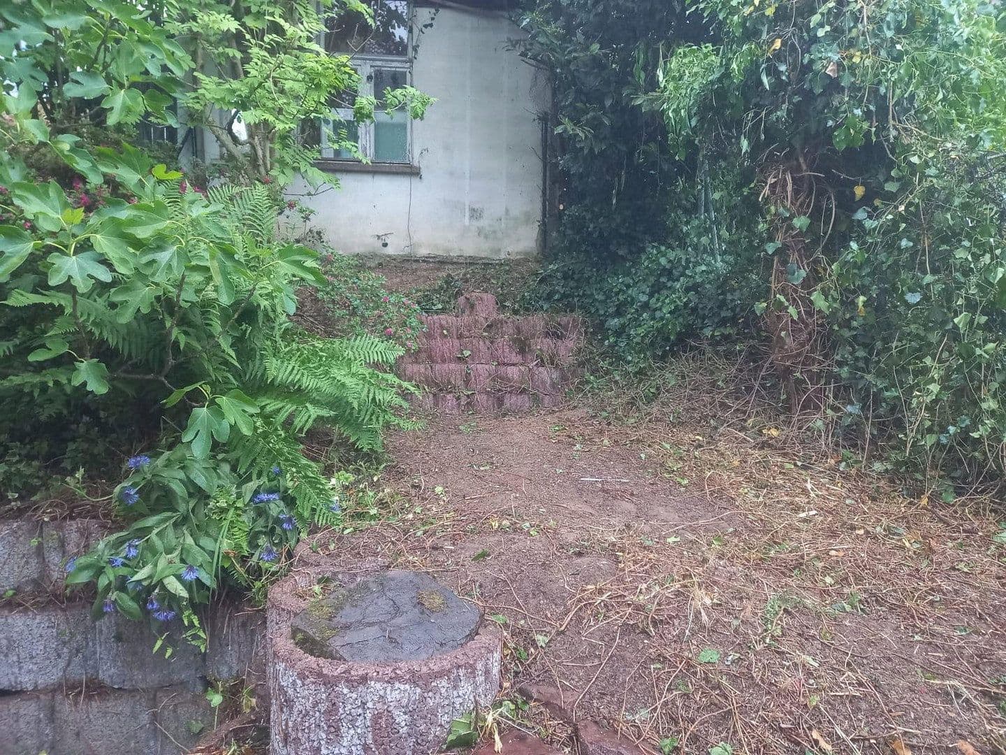 Pronájem bytu 120 m², Bammental, Bádensko-Württembersko Pronájem bytu 120 m², Bammental, Bádensko-Württembersko