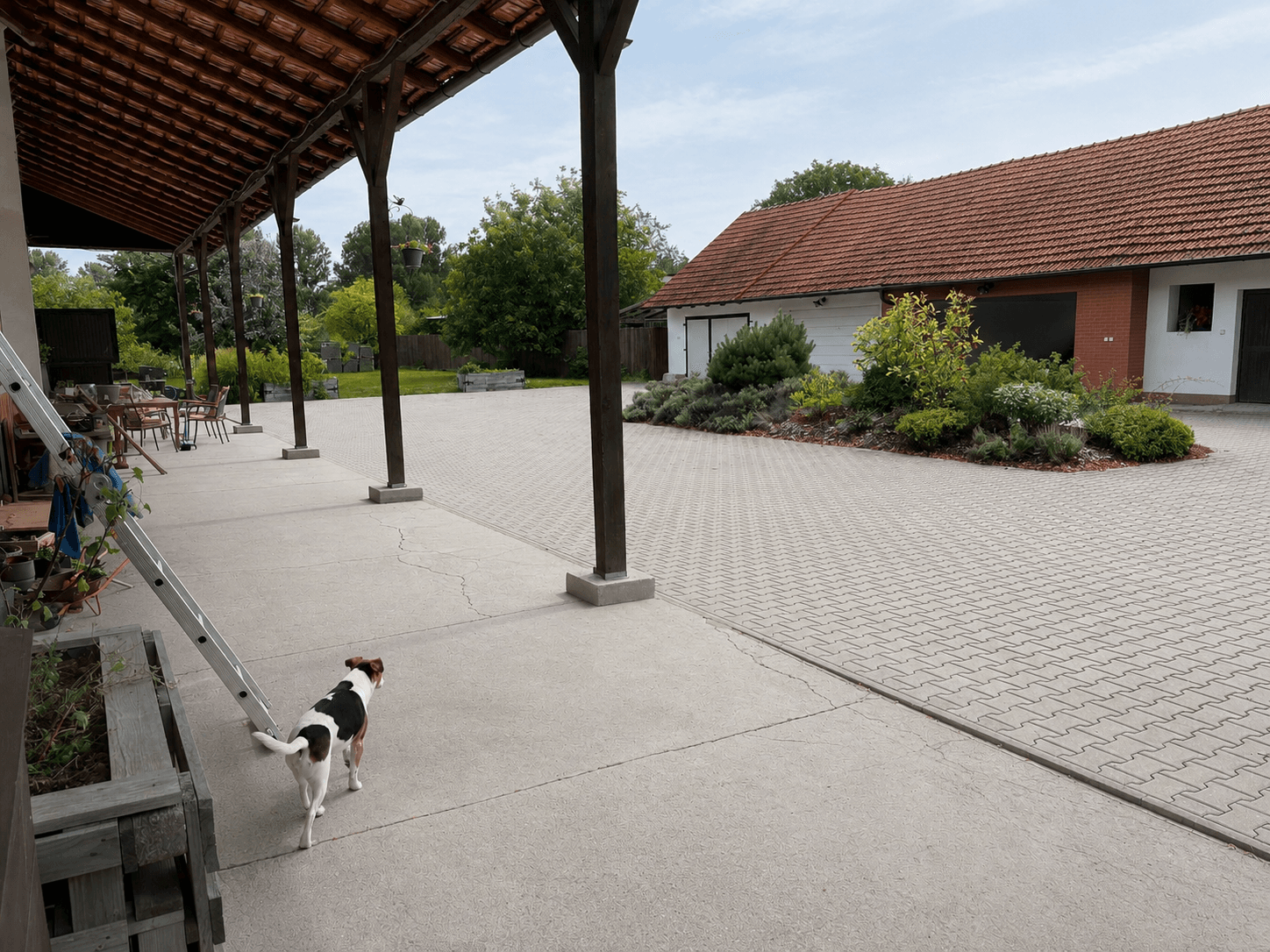 Prodej domu 220 m², pozemek 8.800 m², Kostomlaty nad Labem, Středočeský kraj Prodej domu 220 m², pozemek 8.800 m², Kostomlaty nad Labem, Středočeský kraj