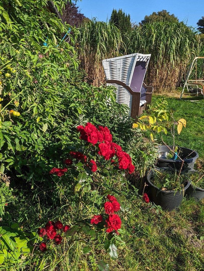 Prodej domu 95 m², pozemek 1.385 m², Bramstedtlund, Šlesvicko-Holštýnsko Prodej domu 95 m², pozemek 1.385 m², Bramstedtlund, Šlesvicko-Holštýnsko
