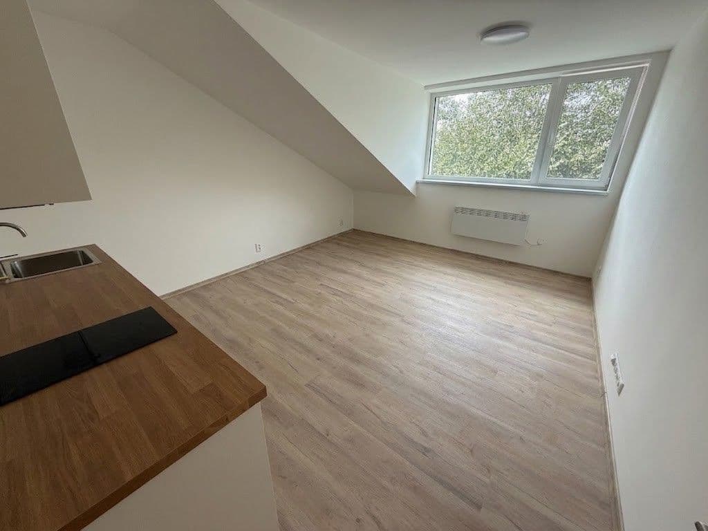 Pronájem bytu 2+kk 35 m², Baarovo nábřeží, Brno, Jihomoravský kraj Pronájem bytu 2+kk 35 m², Baarovo nábřeží, Brno, Jihomoravský kraj