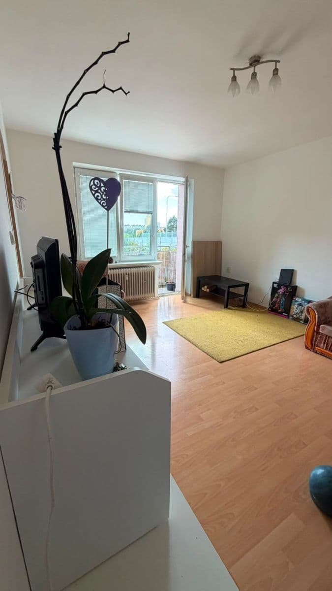 Pronájem bytu 2+1 54 m², Svatopluka Čecha, Brno, Jihomoravský kraj Pronájem bytu 2+1 54 m², Svatopluka Čecha, Brno, Jihomoravský kraj