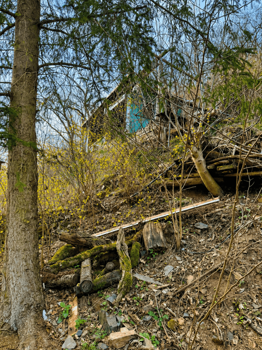 Prodej chaty, chalupy 32 m², pozemek 1.313 m², Draháňské údolí, Zdiby, Středočeský kraj Prodej chaty, chalupy 32 m², pozemek 1.313 m², Draháňské údolí, Zdiby, Středočeský kraj