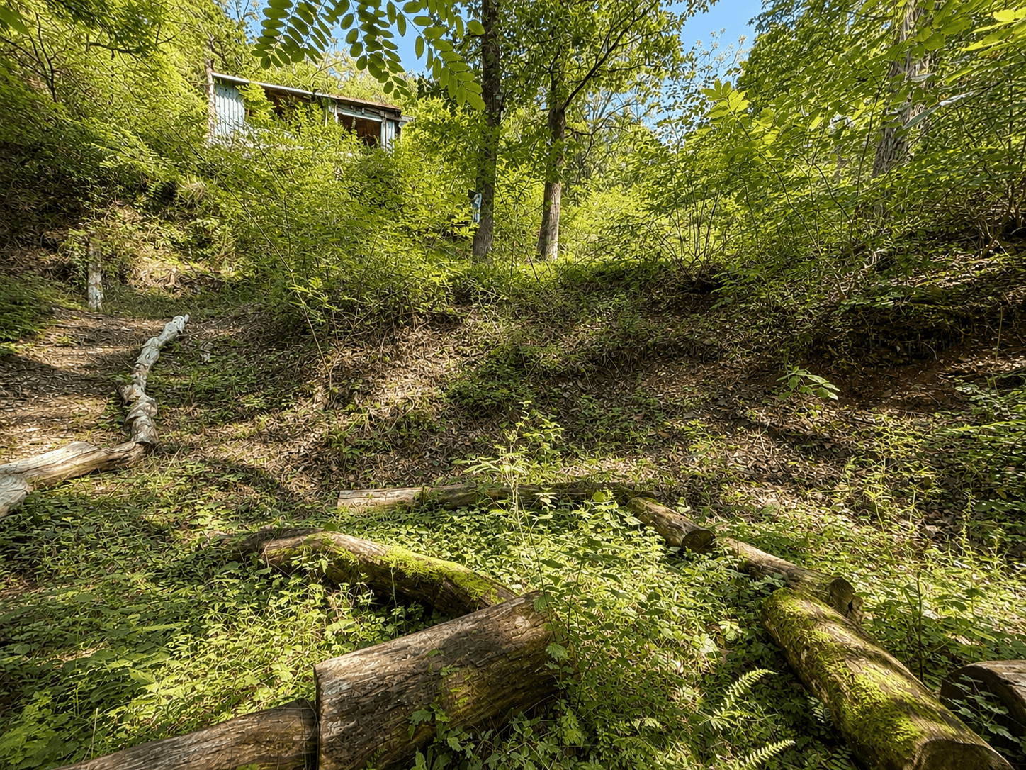 Prodej chaty, chalupy 32 m², pozemek 1.313 m², Draháňské údolí, Zdiby, Středočeský kraj Prodej chaty, chalupy 32 m², pozemek 1.313 m², Draháňské údolí, Zdiby, Středočeský kraj